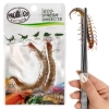 ProBugs Eco-Fresh Scolopendra Centipede 2pcs - świeże skolopendry